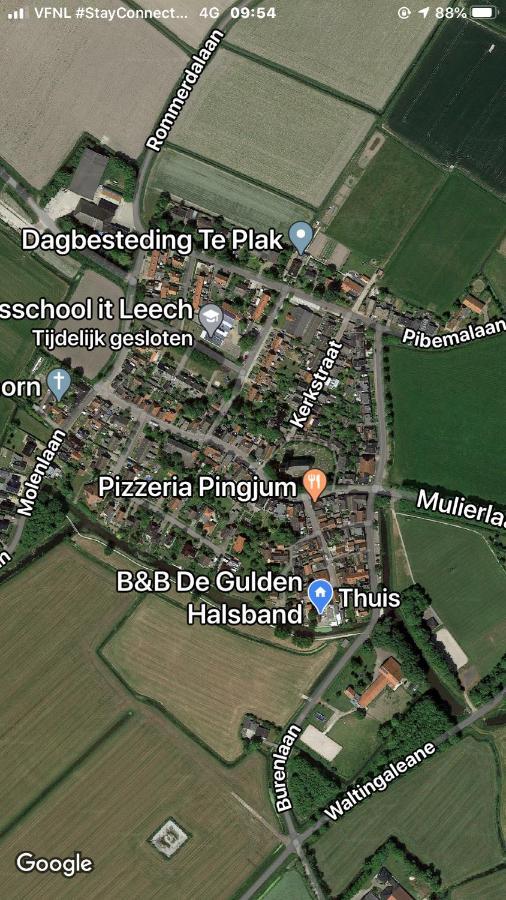 B&B De Gulden Halsband Pingjum Exterior foto